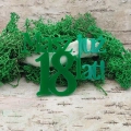napis masz już 18 lat zielony pleksi 3mm
