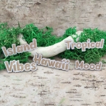 Tekturka – Napisy grawerowane Island Vibes Tropical Mood Hawaii | zestaw 5 szt.
