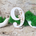 380.jpg
