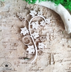 TEKTURKA- BLUSZCZ, WINOROŚL I