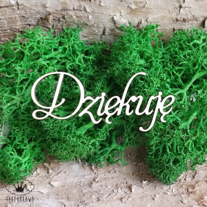 Tekturka napis- DZIĘKUJĘ