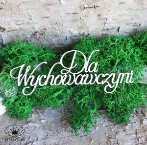 Tekturka napis- DLA WYCHOWAWCZYNI