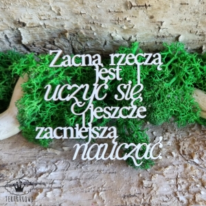 Tekturka napis- ZACNĄ RZECZĄ JEST UCZYĆ SIĘ, JESZCZE ZACNIEJSZĄ NAUCZAĆ
