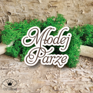 Tekturka napis- MŁODEJ PARZE, grawer