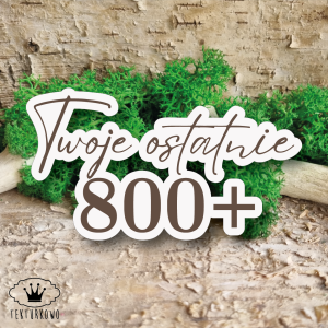 Tekturka napis- TWOJE OSTATNIE 800+ 