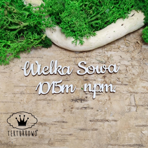 IMG_20250105_155011.jpg