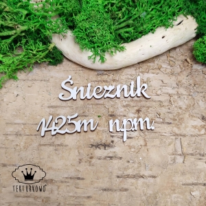 Tekturka napis - ŚNIEŻNIK, KORONA GÓR POLSKI, 3 elementy
