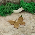 motyl-pleksi-lustrzana-zloty-70x58