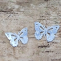 motyle-azurowe-pleksi-lustrzana-srebro-2mm 29x35 24x30